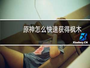原神怎么快速获得枫木