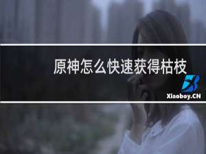 原神怎么快速获得枯枝