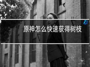 原神怎么快速获得树枝
