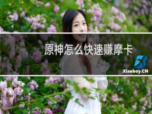 原神怎么快速赚摩卡