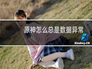 原神怎么总是数据异常