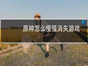 原神怎么慢慢消失游戏