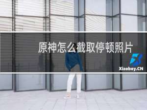 原神怎么截取停顿照片