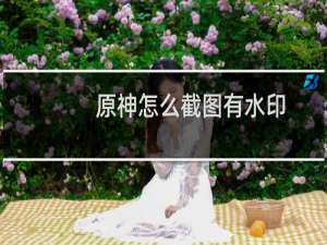 原神怎么截图有水印