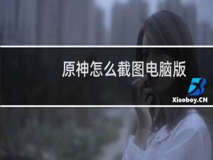 原神怎么截图电脑版