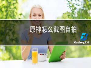 原神怎么截图自拍