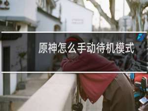原神怎么手动待机模式