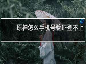 原神怎么手机号验证登不上