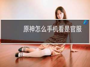 原神怎么手机看是官服