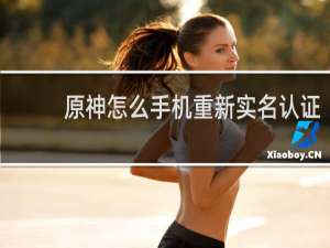 原神怎么手机重新实名认证
