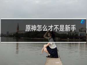 原神怎么才不是新手