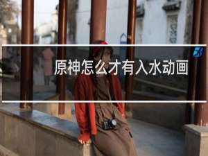 原神怎么才有入水动画