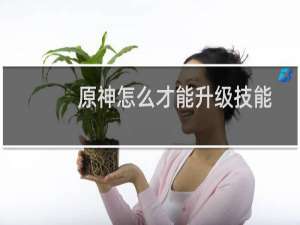 原神怎么才能升级技能