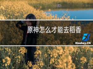 原神怎么才能去稻香