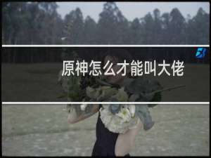 原神怎么才能叫大佬