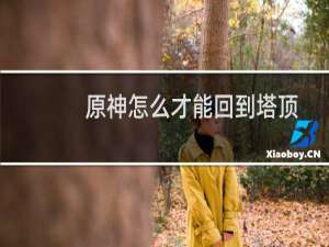 原神怎么才能回到塔顶