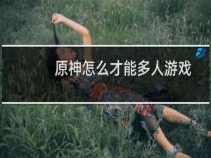 原神怎么才能多人游戏