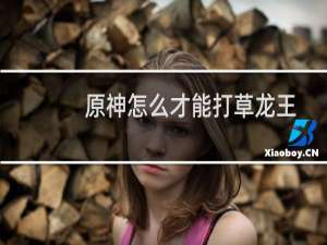 原神怎么才能打草龙王