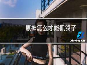 原神怎么才能抓鸽子