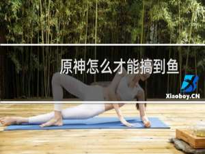 原神怎么才能搞到鱼