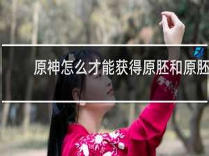 原神怎么才能获得原胚和原胚