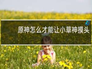 原神怎么才能让小草神摸头