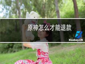 原神怎么才能退款