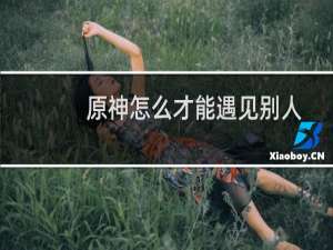原神怎么才能遇见别人