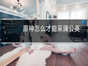 原神怎么才能采蒲公英