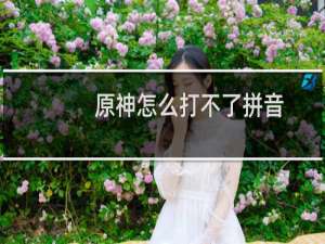原神怎么打不了拼音