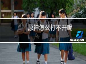 原神怎么打不开呢