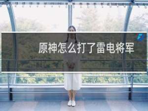 原神怎么打了雷电将军