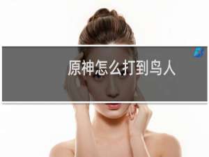 原神怎么打到鸟人
