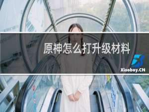 原神怎么打升级材料