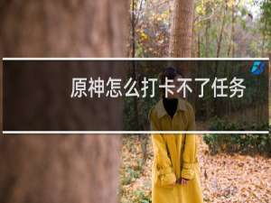 原神怎么打卡不了任务