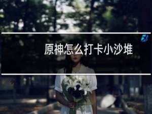 原神怎么打卡小沙堆