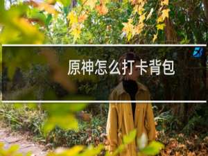 原神怎么打卡背包