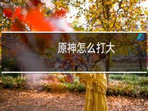 原神怎么打大