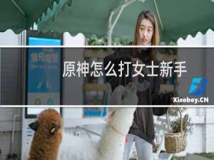 原神怎么打女士新手