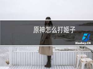 原神怎么打姬子