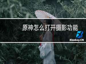 原神怎么打开摄影功能