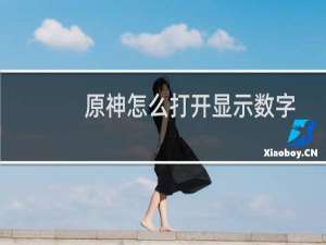 原神怎么打开显示数字