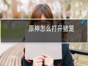 原神怎么打开猪笼