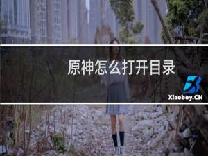 原神怎么打开目录