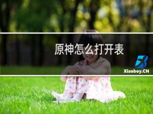 原神怎么打开表