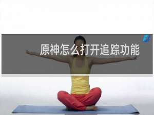 原神怎么打开追踪功能