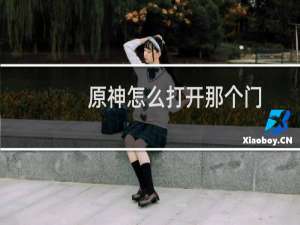 原神怎么打开那个门