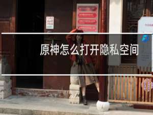 原神怎么打开隐私空间