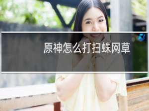 原神怎么打扫蛛网草