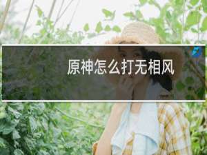 原神怎么打无相风